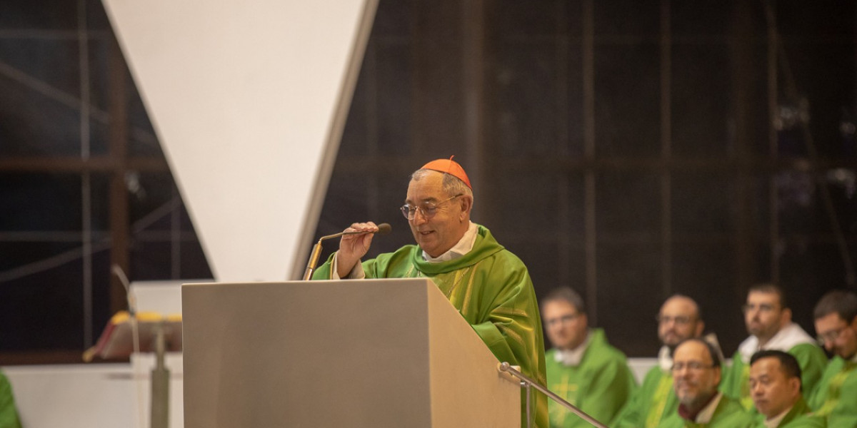 Panama a Roma: Omelia del Card. De Donatis