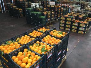Messa di #Natale al CAR, Centro Agroalimentare Roma