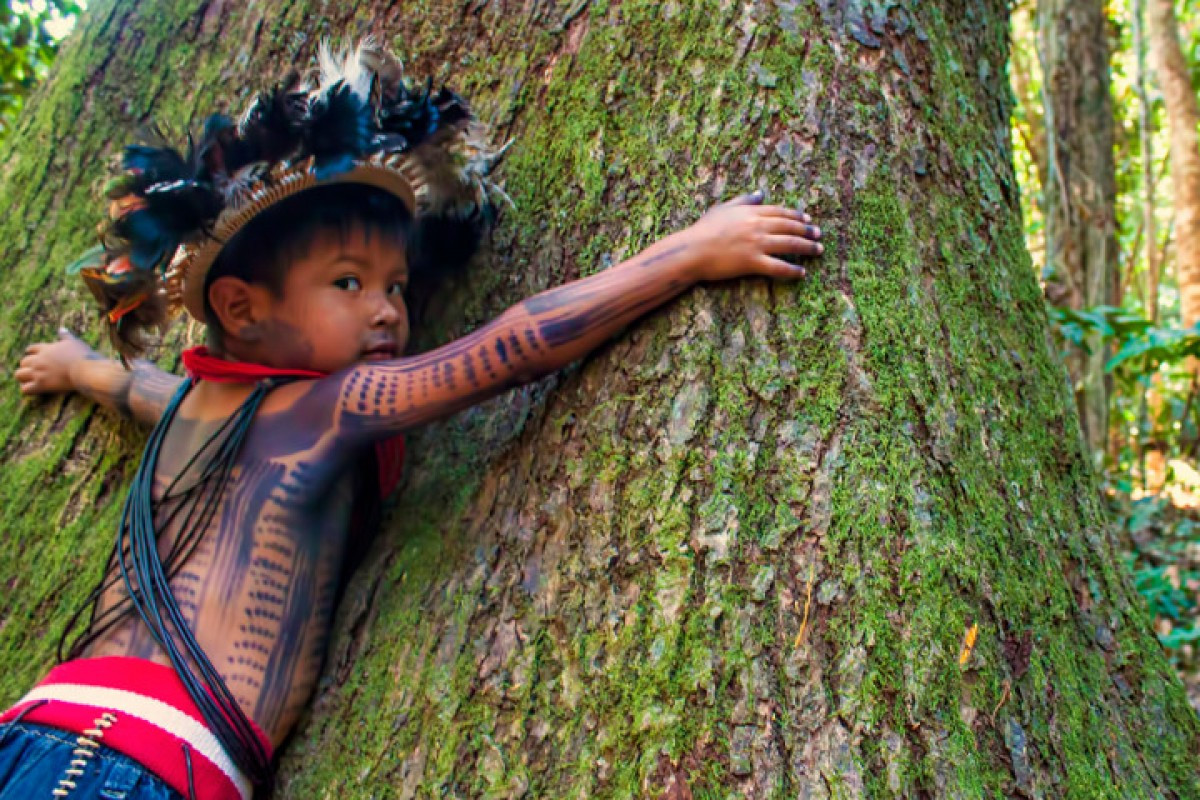 Amazzonia: nuovi cammini per la Chiesa e per una ecologia integrale. Sinodo dei Vescovi, 6-27 ottobre