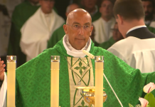 Come Maria lasciamo spazio a Dio: l’omelia del cardinale vicario da Lourdes