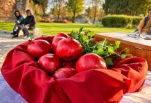 Il Melograno di San Gaspare in tre chiese di Roma